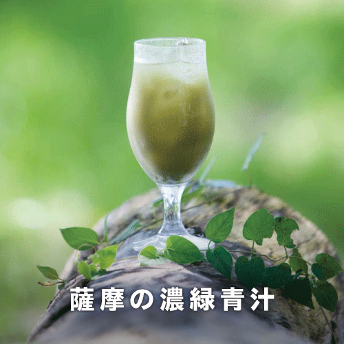 薩摩の濃緑青汁