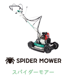 スパイダーモア オーレック